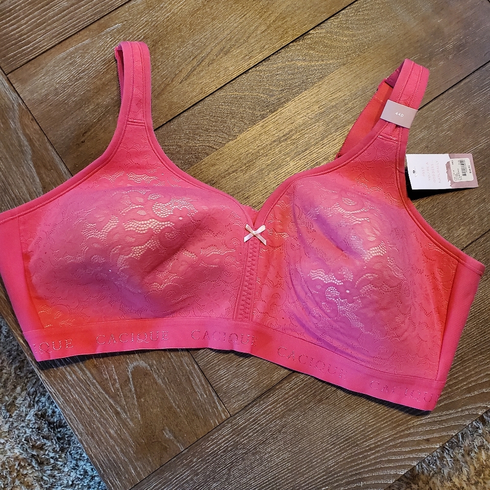 Nwt lane Bryant bra
